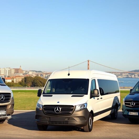 İstanbul'da lüks günlük araç kiralama hizmeti sunan VIP araç filosu